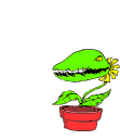 9.54 KB