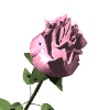 19.8 KB, 
A free collection of animated gifs is available at:
http://www.eclipsedigital.com  eclipse@ideasign.com