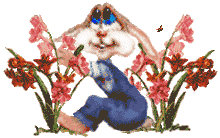 80.2 KB, http://www.snowcrest.net