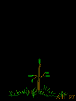 6.24 KB, 
This GIF file was assembled with
GIF Construction Set from:
http://www.mindworkshop.com/alchemy/gifcon.html
Alchemy Mindworks Inc.
P.O. Box 500
Beeton, Ontario
L0G 1A0
CANADA.
