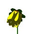 4.97 KB,
 
A free collection of animated gifs is available at:
http://www.eclipsedigital.com  eclipse@ideasign.com
