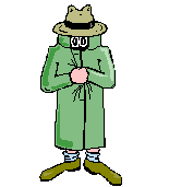 4.11 KB, Flasher w/Email