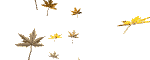 6.25 KB, Leaves Blowing,
A free collection of animated gifs is available at:
http://www.eclipsedigital.com 
Email: eclipse@ideasign.com