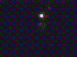 71.3 KB