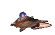 10 KB,
A free collection of 
animated gifs is available at: 
http://www.eclipsedigital.com