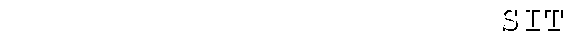 11.3 KB