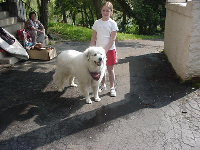Maggie