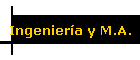 Ingenier�a y M.A.
