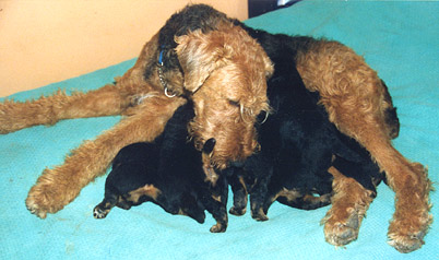 Port&eacute;e
