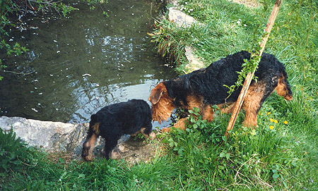 Le bassin