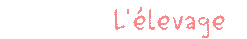 L'&eacute;levage