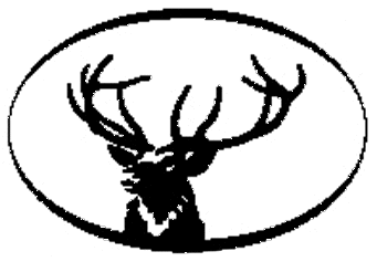 The Buck Starts Here!