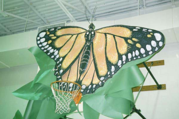 monarch scenic painting
