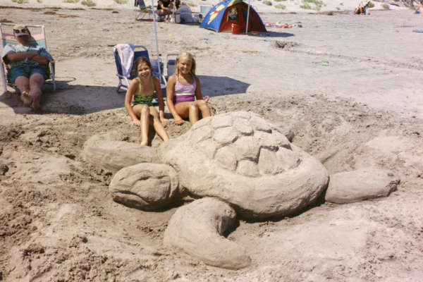 sand turtle