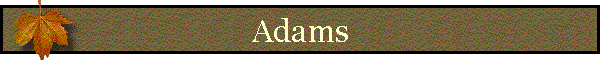 Adams