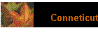 Conneticut