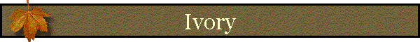 Ivory