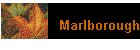 Marlborough