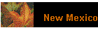 New Mexico