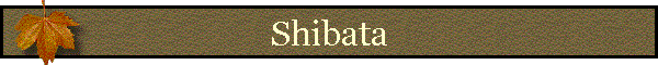 Shibata