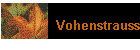 Vohenstrauss