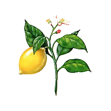 citron