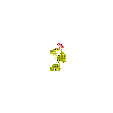 g�ranium rose