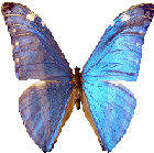 azul