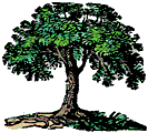 tree.gif