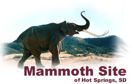 Click here to visit this fasinating site.