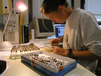 Labeling