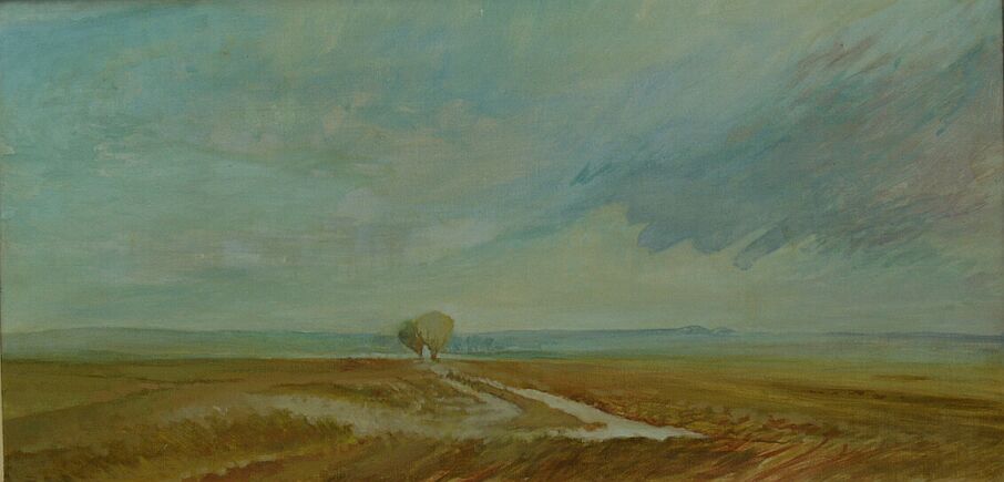 Price: 500 euro