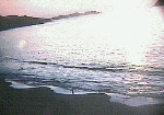 /user/SUN1.GIF