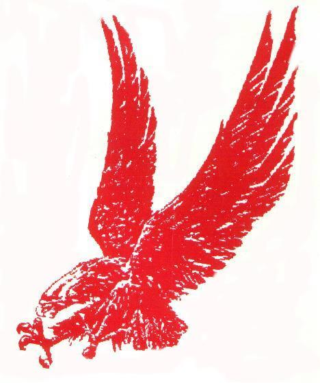 Leto High School Falcon
