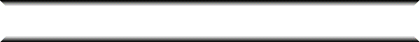 About LETO