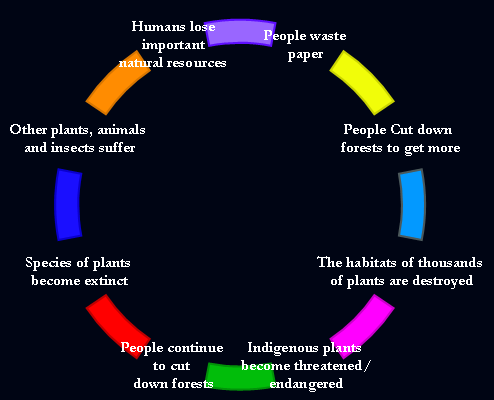 The Circle of Truth rocks!