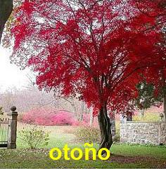 otono