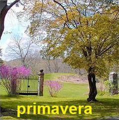 primavera