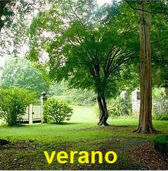 verano