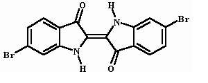 image005.gif (2455 bytes)