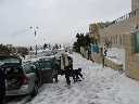marina_snow_0250_small.jpg (2650 bytes)