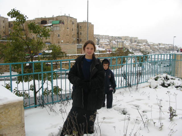 shifra_0247.jpg (67025 bytes)