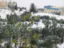snow_0267_small.jpg (3727 bytes)