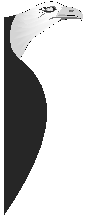 sorswegl.bmp (19256 bytes)