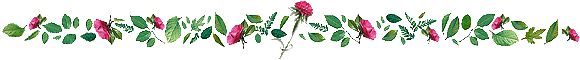 rule.gif (12036 bytes)