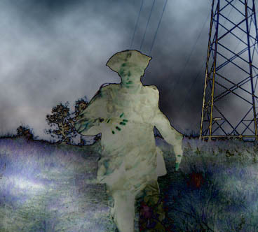 The Ghost in the Bush
