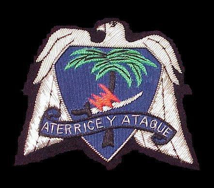 Crest of the 551st Parachute Infantry