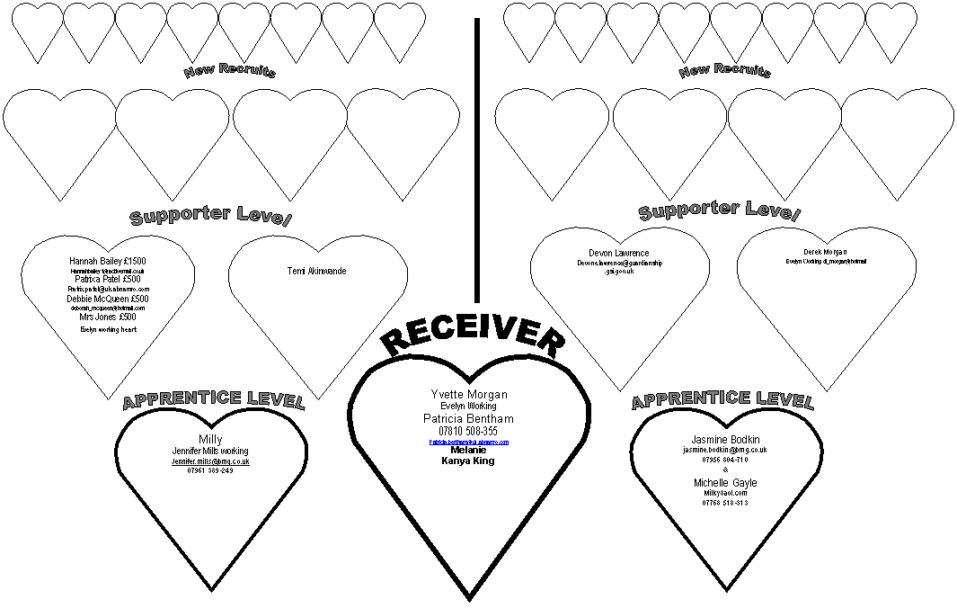 APPRENTICE LEVEL,APPRENTICE LEVEL,RECEIVER,Supporter Level,Supporter Level,New Recruits,New Recruits