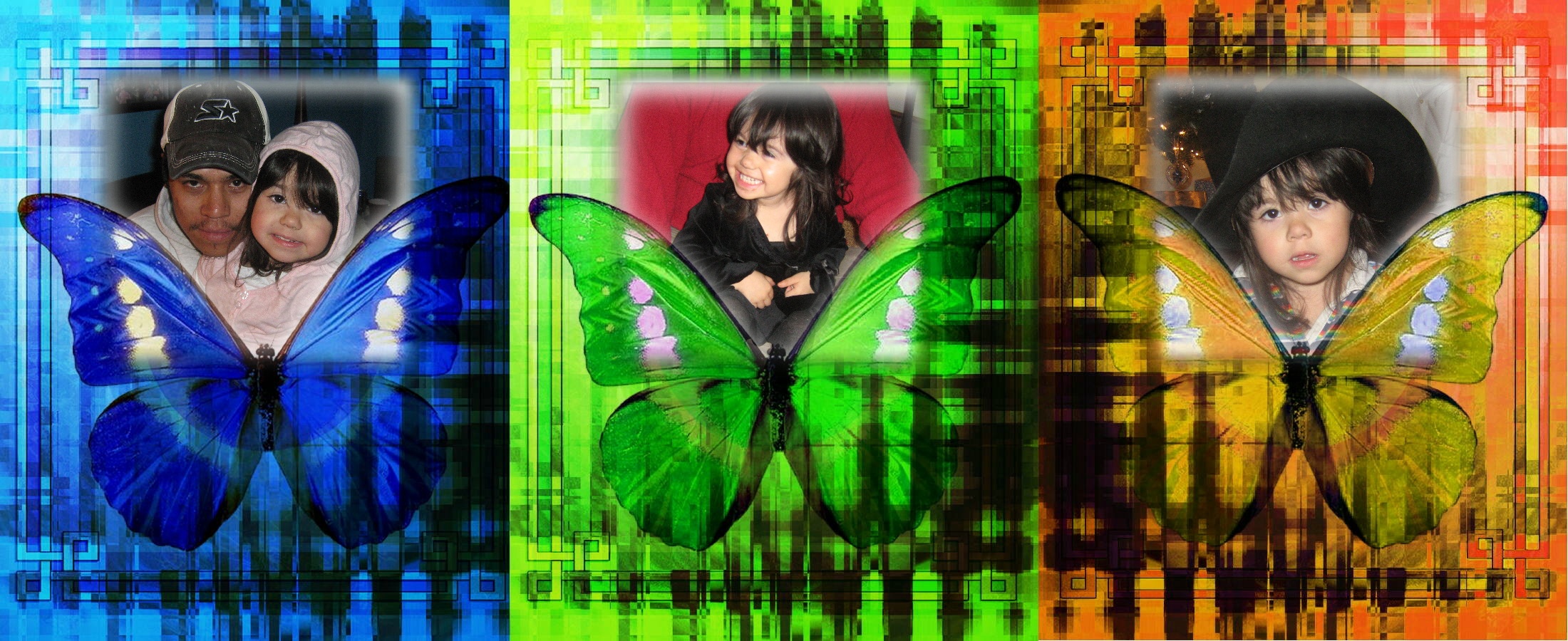 Butterflies