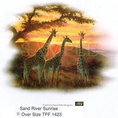 Sand River Sunrise